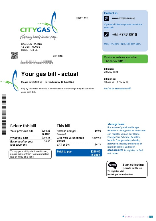 Singapore City Gas business utility bill template, fully editable in PSD formats